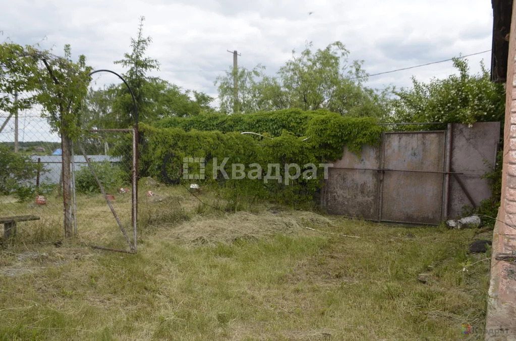 Продам родовую усадьбу - Фото 6