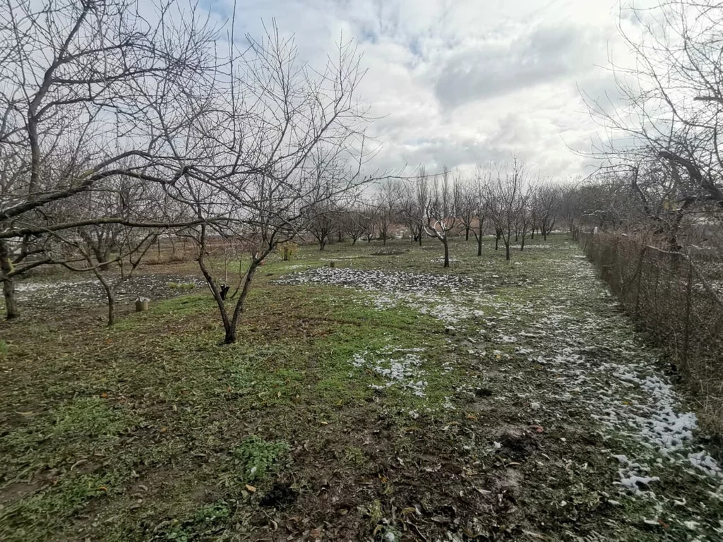 Продажа дома, Старонижестеблиевская, Красноармейский район, Ул. ., Купить  дом Старонижестеблиевская, Красноармейский район, ID объекта - 506678393