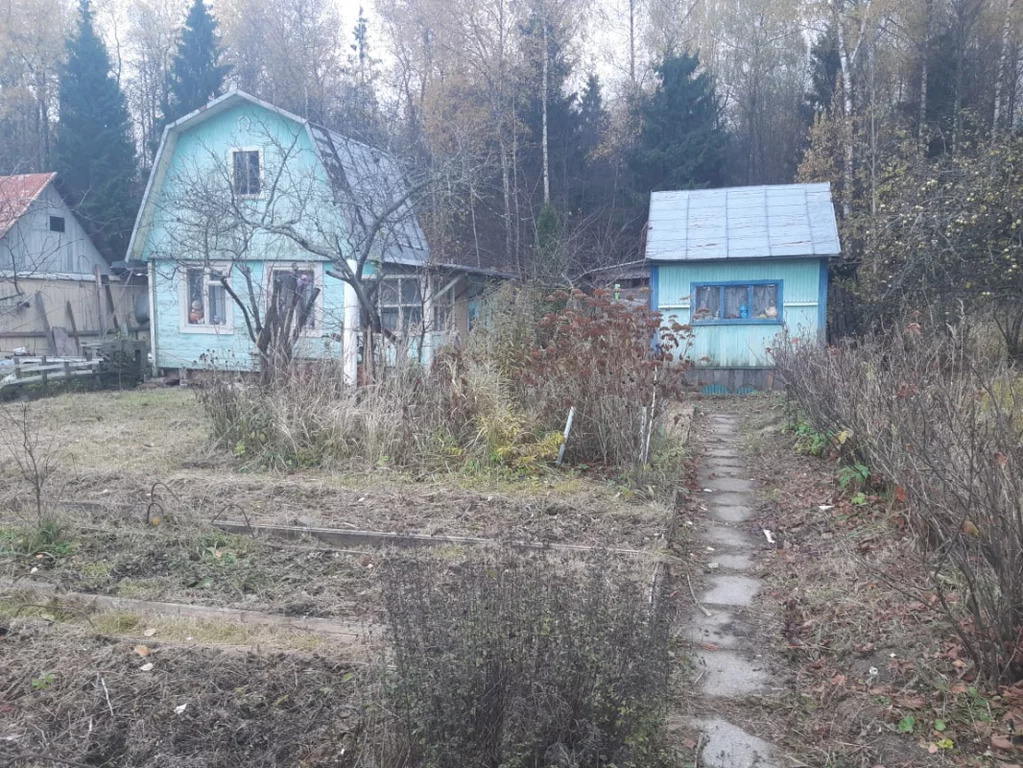 Снт дубок электросталь. СНТ Дубки Электросталь Московская область. Поселок Металлург Электросталь дача ул рабочая 88.