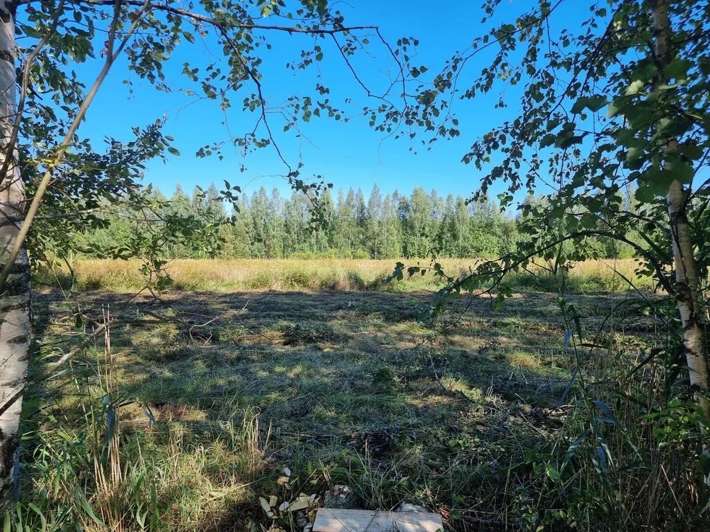 Продажа участка, Большие Пороги, Всеволожский район - Фото 7