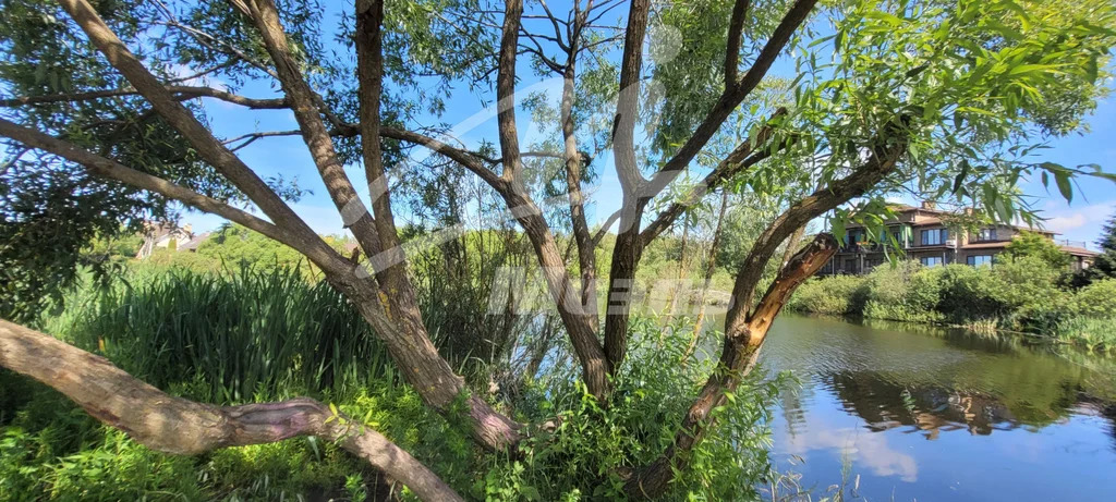 Продажа участка, Андреевка, Солнечногорский район - Фото 24