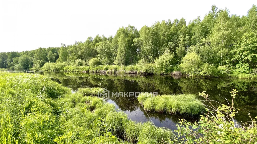 Продажа участка, Талаги, Приморский район - Фото 10