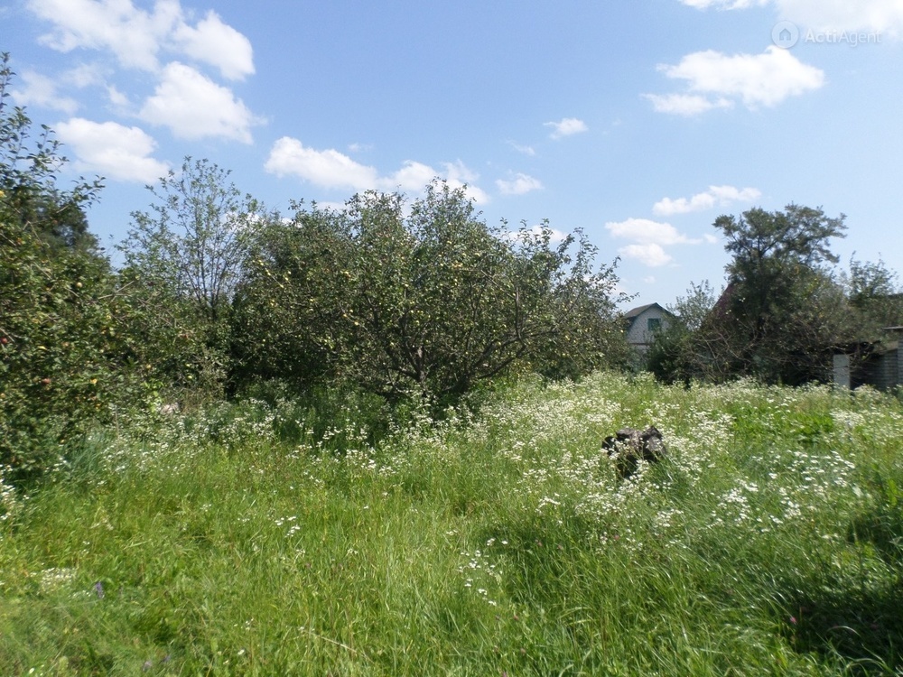 Курск щетинка карта