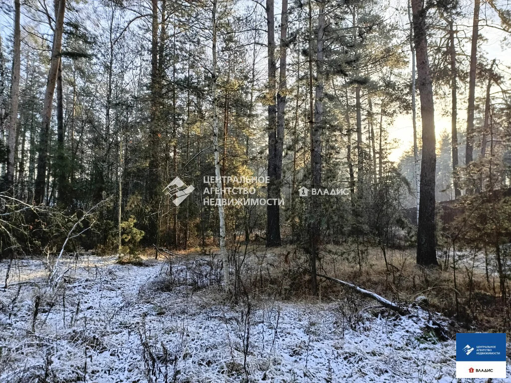 Продажа участка, Алеканово, Рязанский район - Фото 3