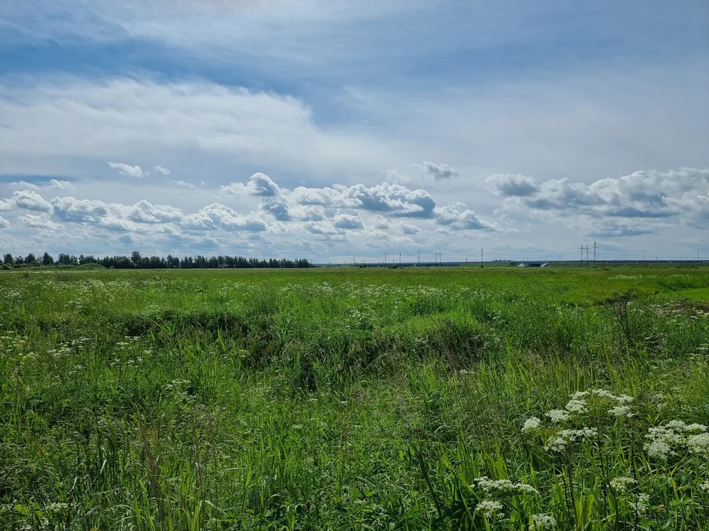 Продажа участка, Ям-Ижора, Тосненский район - Фото 12