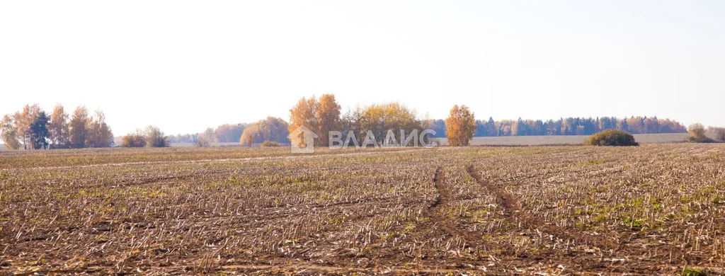 Собинский район, село Бабаево, Спасская улица,  земля на продажу - Фото 3