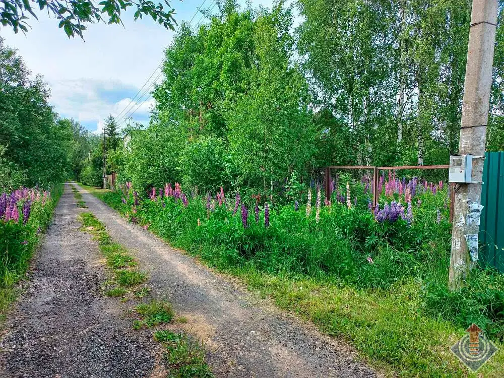 Продажа лесной дачи на 10 сот. в СНТ Порядино, Наро-Фоминский район - Фото 20