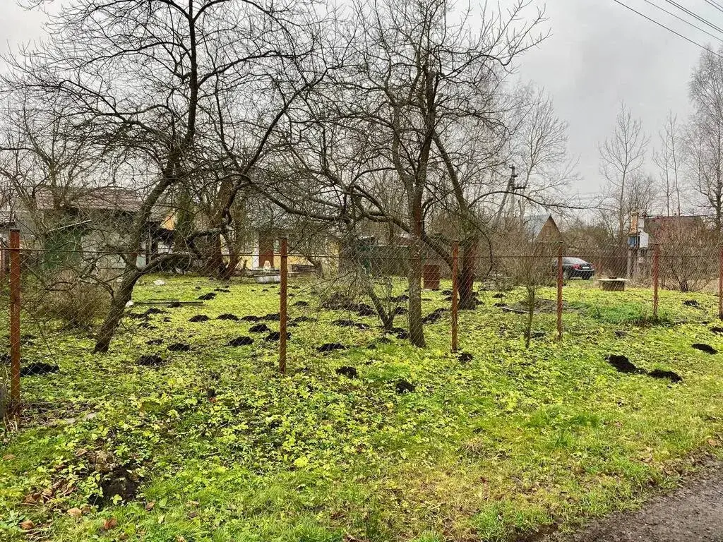 Дом 30,8 м2 на участке 6,1 сот. - Фото 15