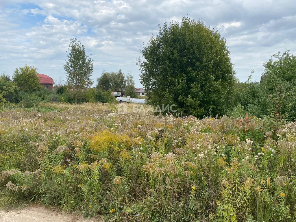 суздальский район, снт суромна, земля на продажу - Фото 0