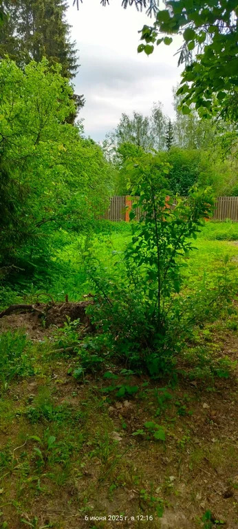 Продажа участка, Мытищинский район - Фото 5