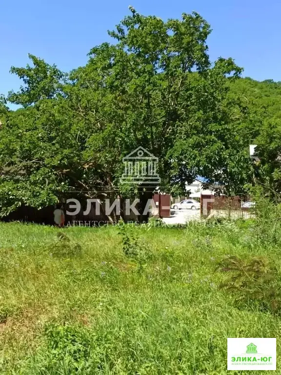 Продажа участка, Пляхо, Туапсинский район, Курортная ул. - Фото 13