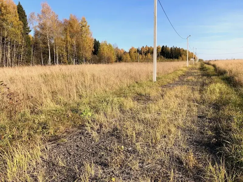 Солнечногорск Московская Область Купить Землю