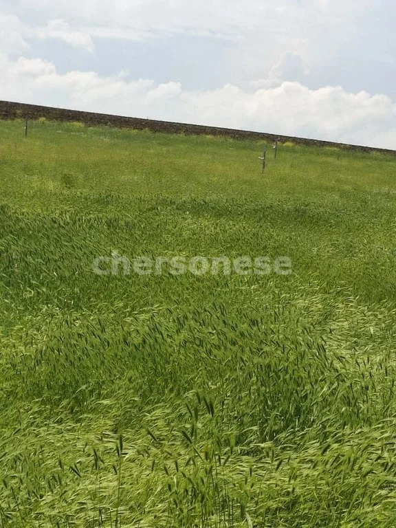 Продажа участка, Равнополье, Симферопольский район, ул. Калинина - Фото 2