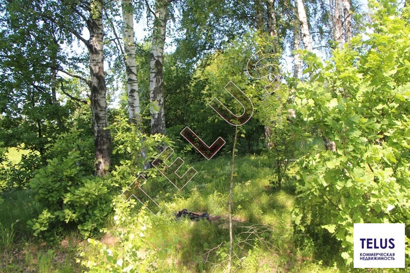 МО, Богородский г.о., с. Богослово, Земельный участок 7 га (ном. ... - Фото 19