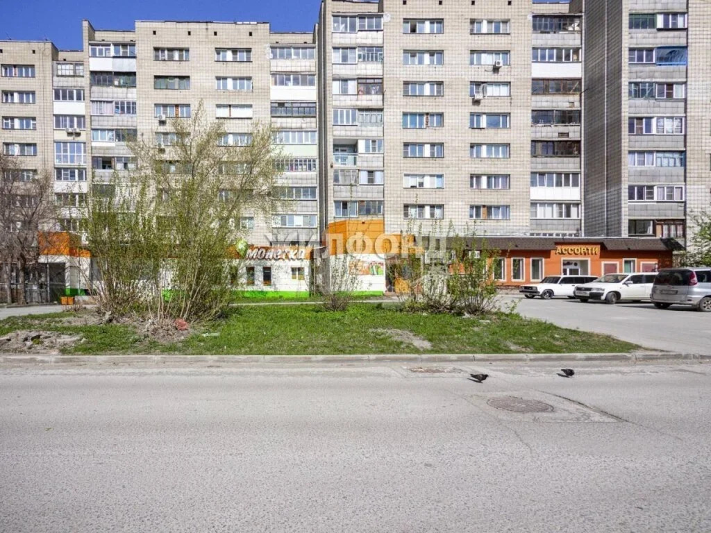 Продажа квартиры, Новосибирск, ул. Новая Заря - Фото 40