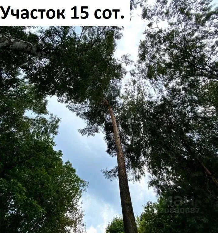 Продажа участка 15.0 сот. ул. Фурманова, 19, Мытищи, Московская ... - Фото 8