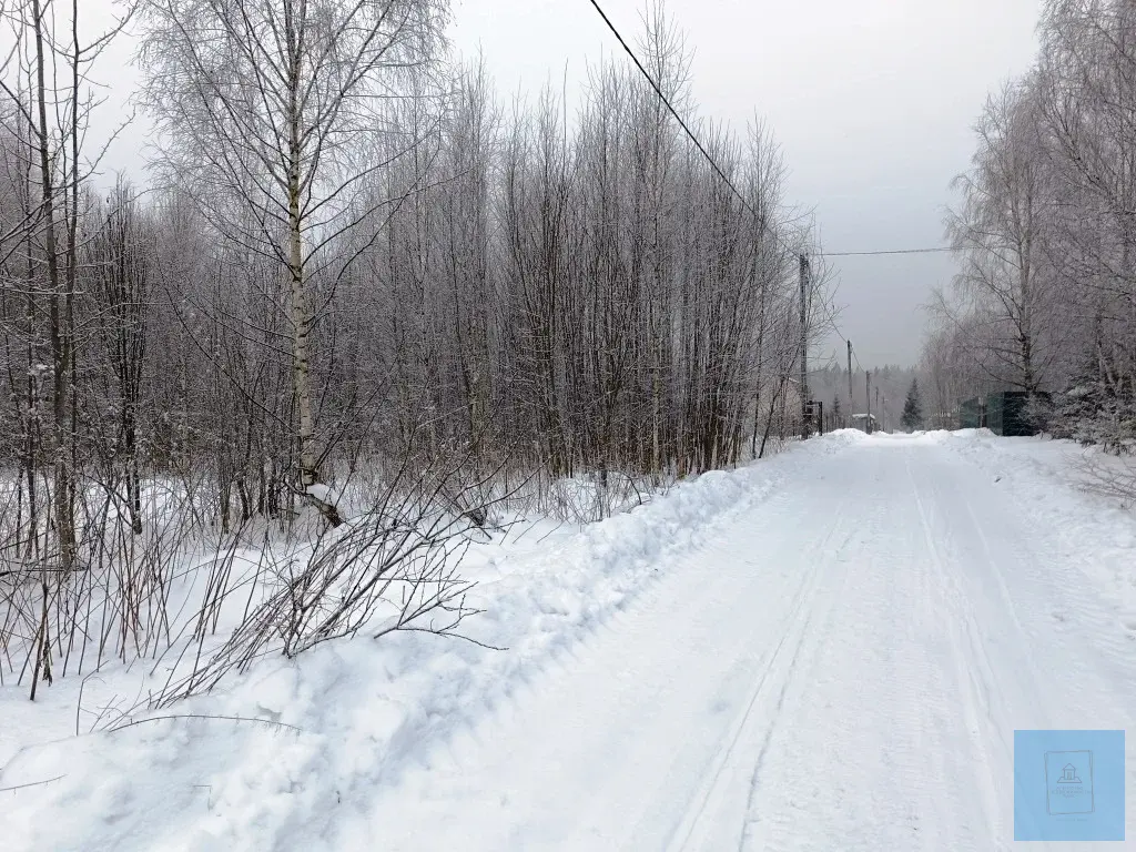 12 соток в д. Шапкино, СНТ Звездочка - Фото 4