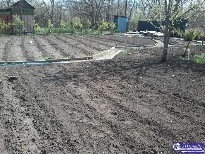 Продажа дома, Батайск, природы улица - Фото 6