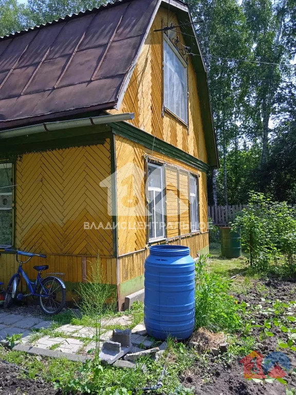 Новосибирский район, садоводческое некоммерческое товарищество ... - Фото 1