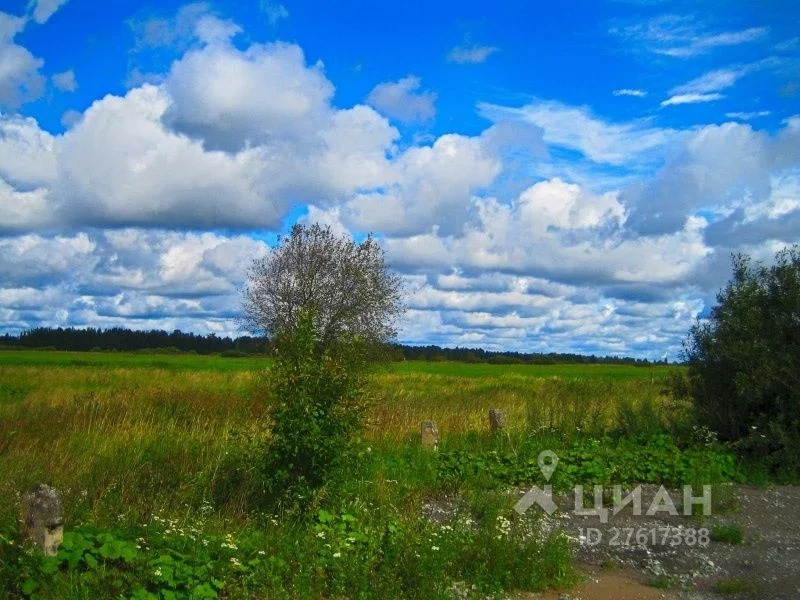 Слобода новгородская область. Коттеджный поселок ,,Новгородская Слобода,,. Деревня витка Великий Новгород. Д витка Новгородский район. Карьер д. витка Великий Новгород.