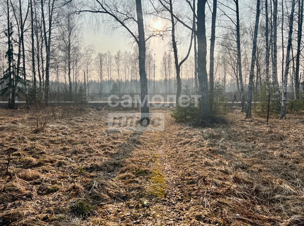 Продажа участка, Талдом, Талдомский район - Фото 2