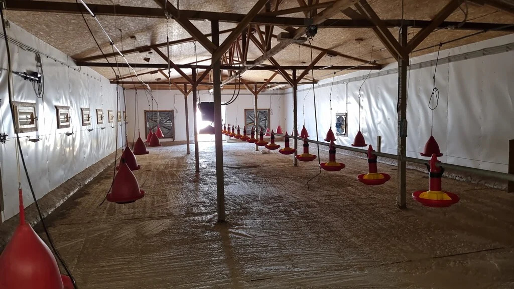 Продажа участка, Барышево, Выборгский район - Фото 16