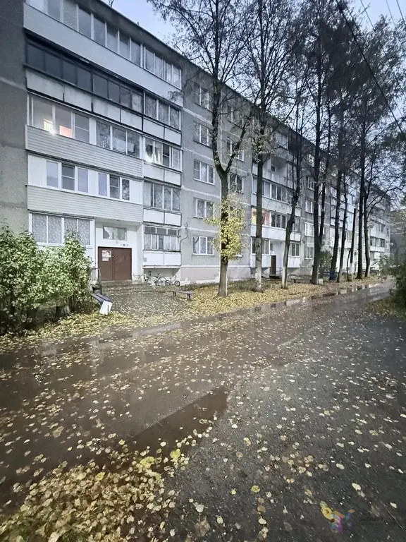 Продаю двухкомнатную  квартиру д. Дубнево, улица Новые дома, дом 6. - Фото 23