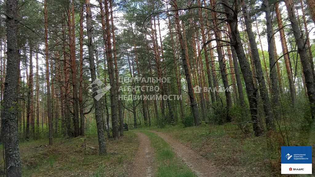 Продажа дома, Велье-Родионовка, Спасский район - Фото 2
