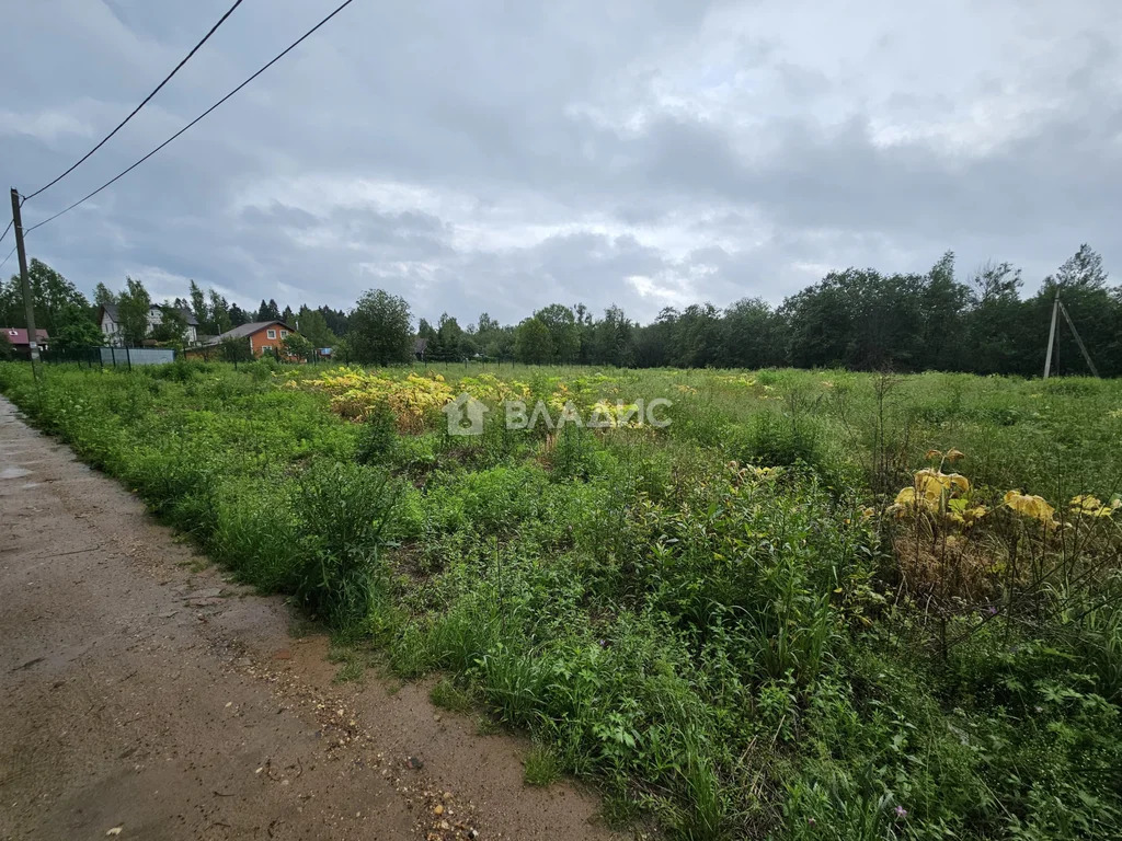 городской округ Клин, деревня Елино,  земля на продажу - Фото 6