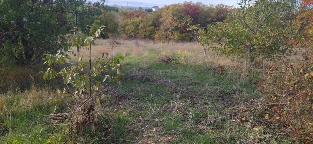 Продажа участка, Севастополь, территория ЗАО имени Софьи Перовской - Фото 3