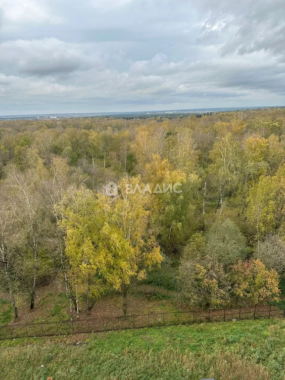 Одинцовский городской округ, село Лайково, квартал Лайково Парк, д.69, ... - Фото 11