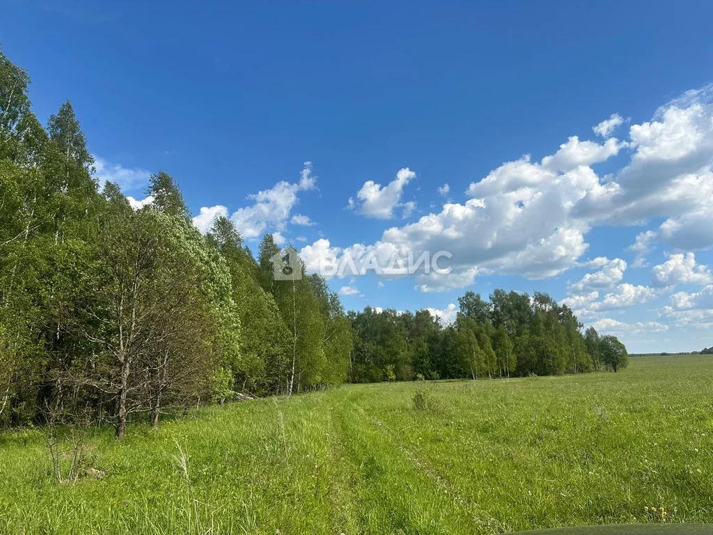 городской округ Серпухов, деревня Агарино,  земля на продажу - Фото 0