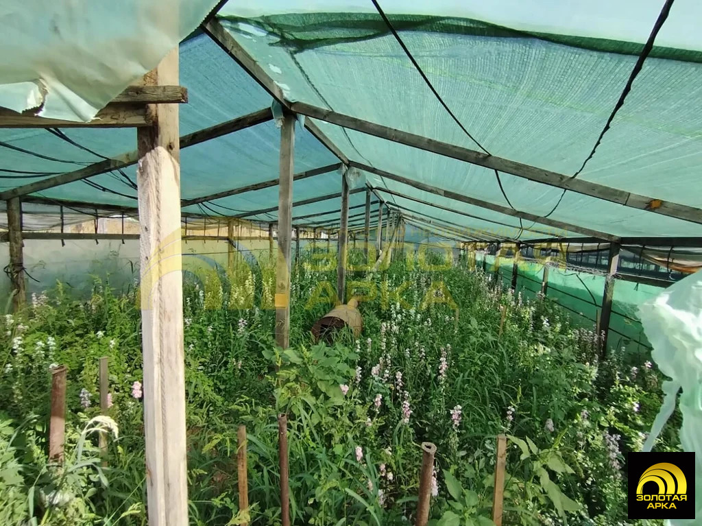 Продажа участка, Холмская, Абинский район, ул. Гоголя - Фото 5