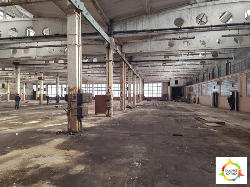 Предлагается в аренду холодное производственное помещение - Фото 5