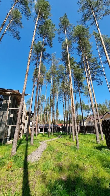 Продажа дома, Всеволожск, Всеволожский район, Улица Камышовая, дом 17 - Фото 18