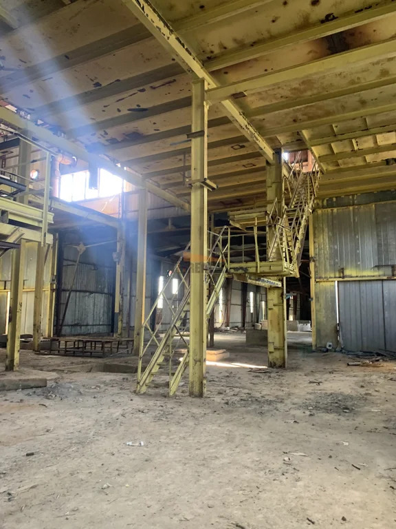 Продажа производственного помещения, Совхоза Серебряные Пруды, ... - Фото 3