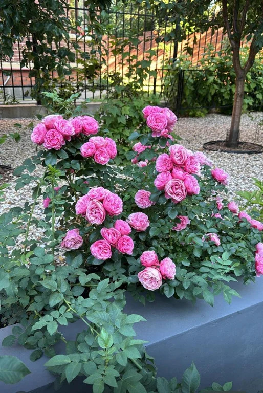 Коттедж 290 м2 на участке 6 сот. - Фото 3