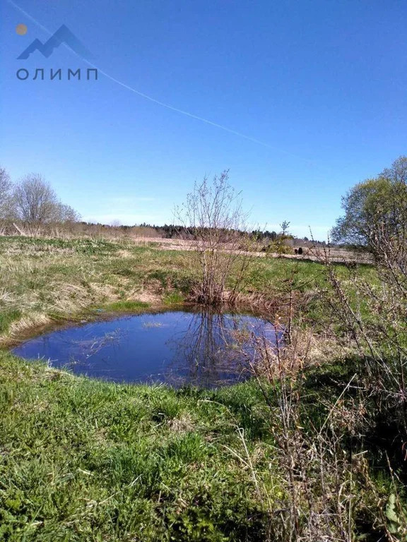 Продажа участка, Андраково, Вологодский район - Фото 0