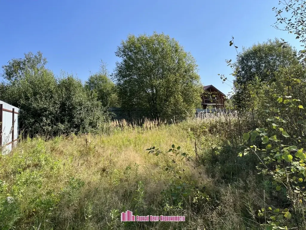 Участок 15 сот, д. Бородино, ДНП Бородино (Дмитровский район) - Фото 10