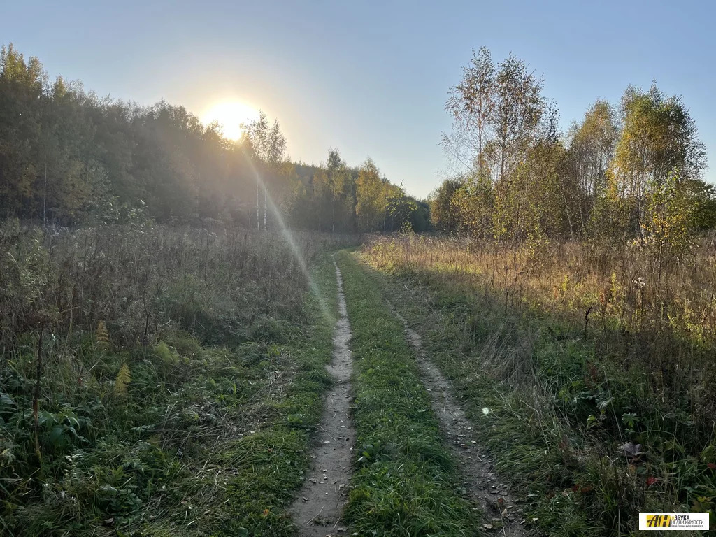 Продажа участка, Жилино, Солнечногорский район - Фото 7