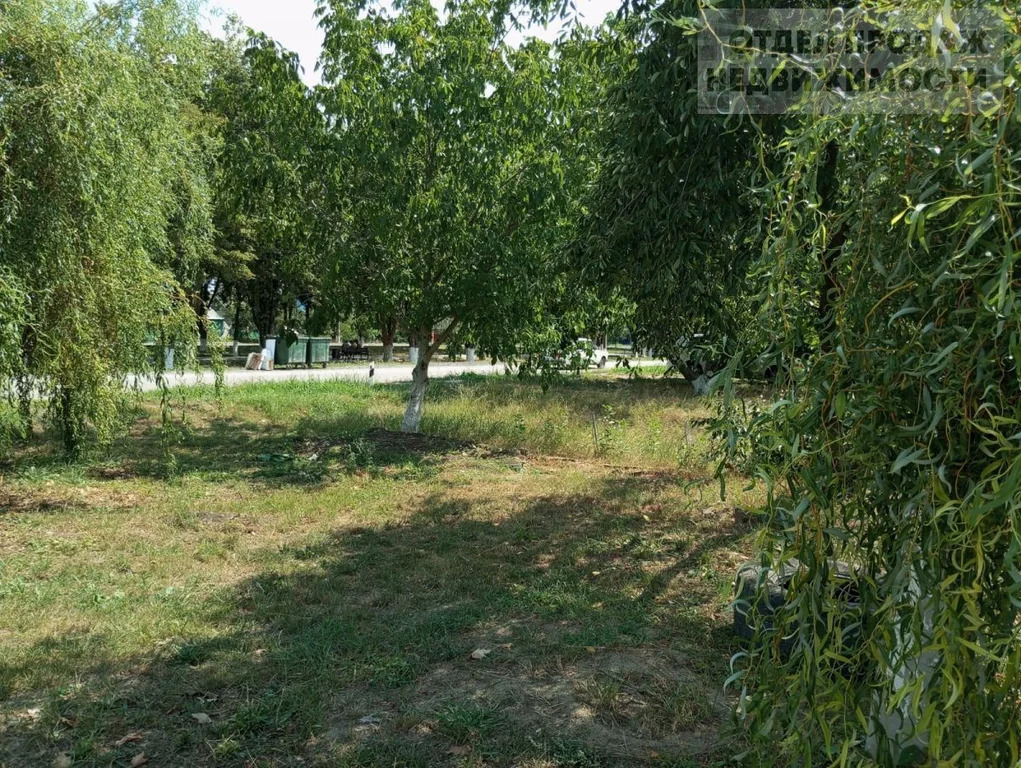 Объект 537476 - Фото 23