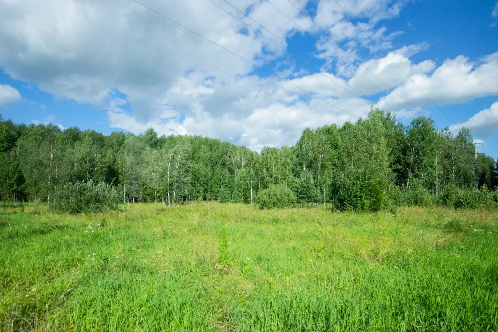 Продажа участка, Нижняя Тавда, Нижнетавдинский район, Нижнетавдинский ... - Фото 9