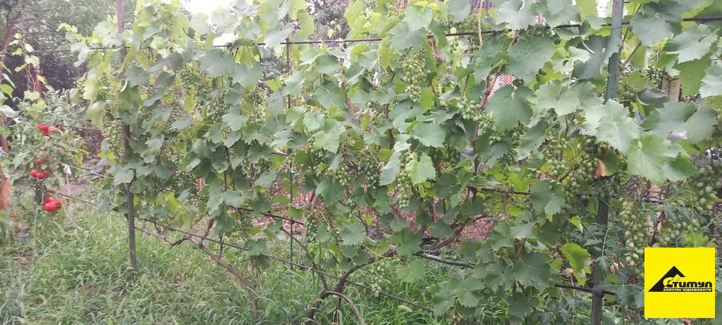 Продажа участка, Ейск, Ейский район, 12 - Фото 11