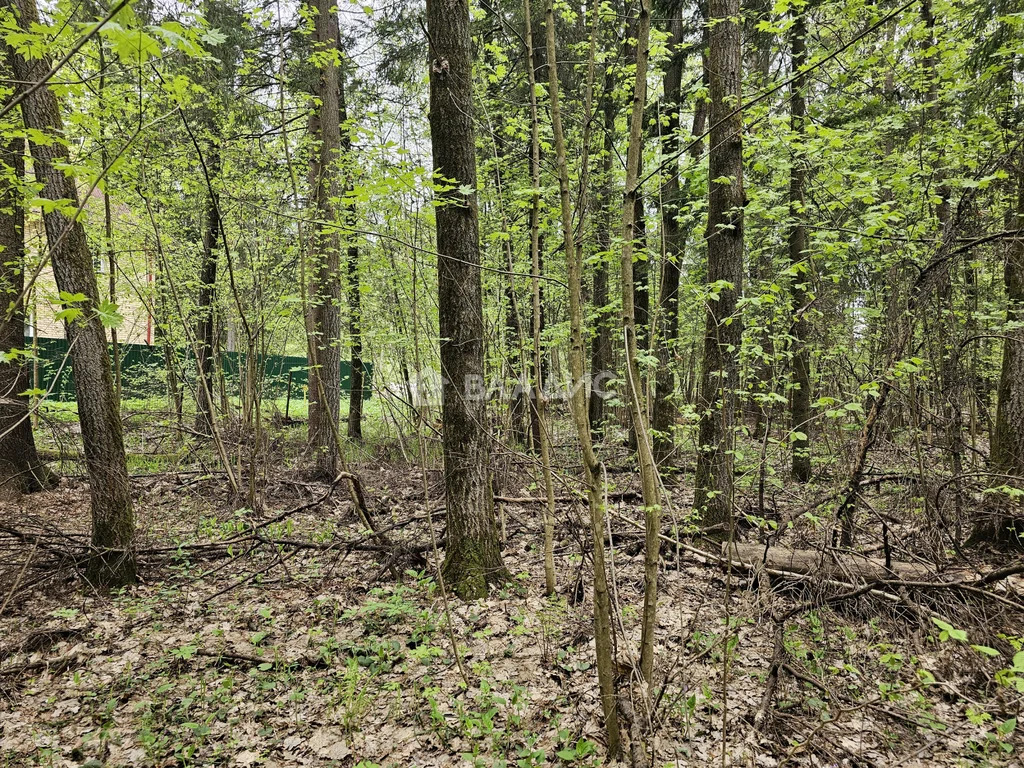 Наро-Фоминский городской округ, СНТ Новые Черёмушки,  земля на продажу - Фото 7