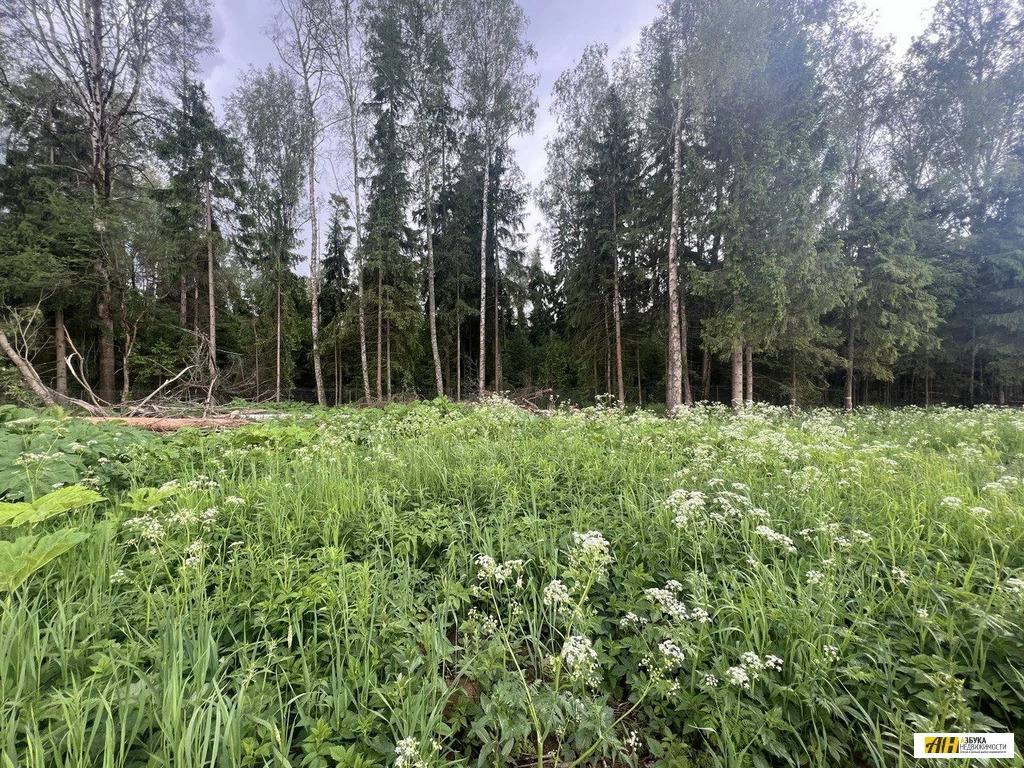 Продажа участка, Солнечногорский район - Фото 0