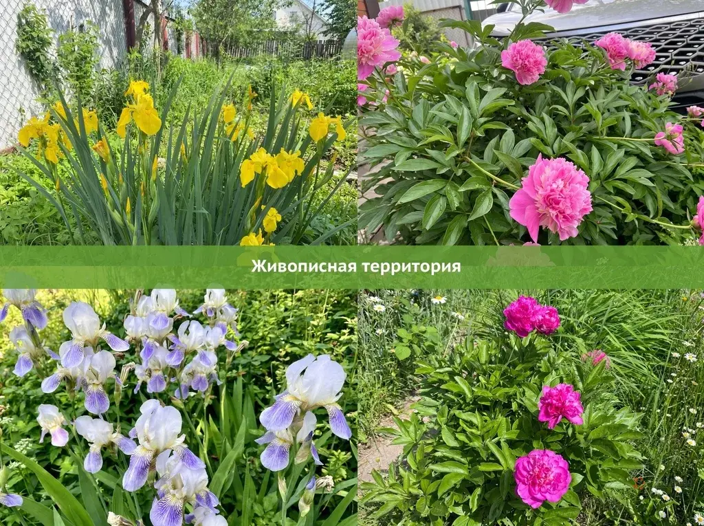 Продается дом Столбовая, СНТ "Заря" - Фото 9