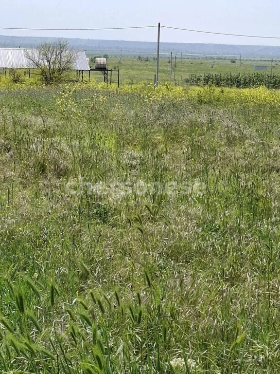Продажа участка, Береговое, улица Новосёловская - Фото 4
