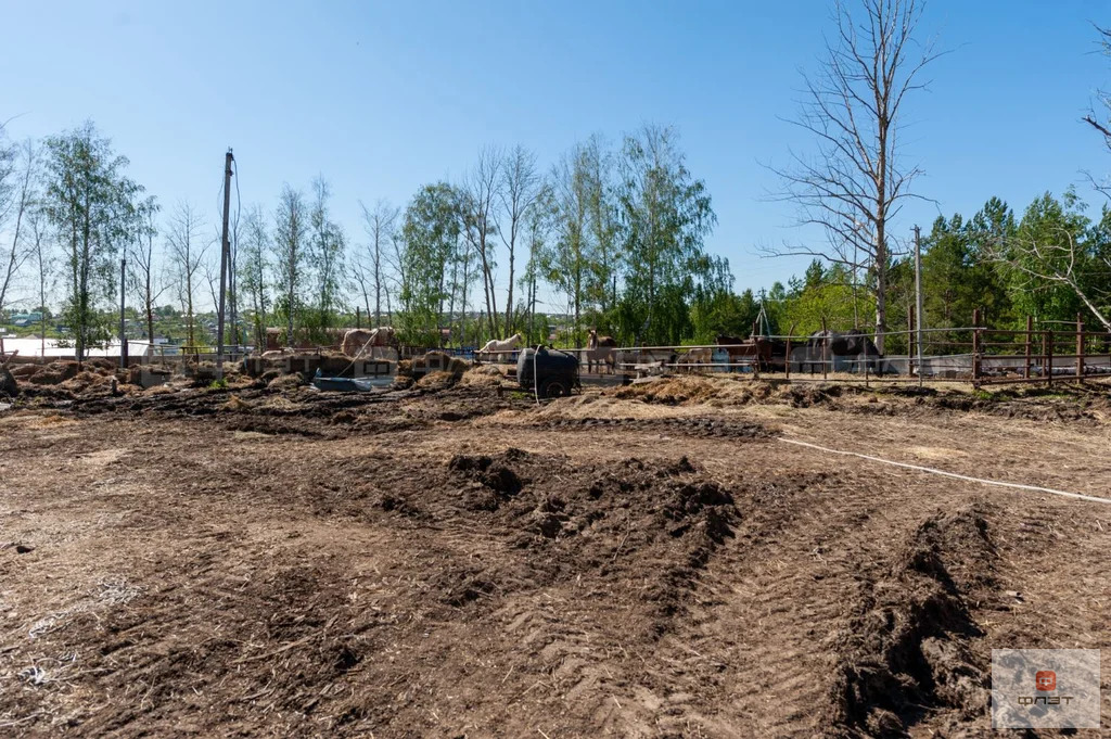 Продажа склада, Пестрецы, Пестречинский район, ул. Осипова - Фото 6