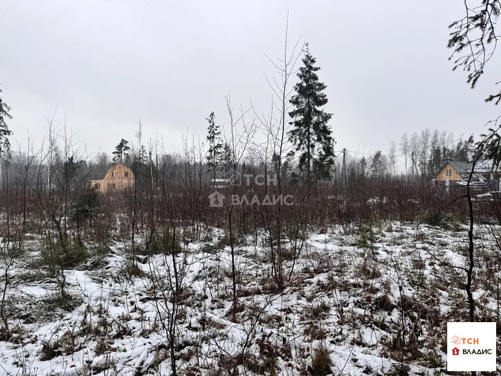 Продажа участка, Могильцы, Лотошинский район - Фото 2