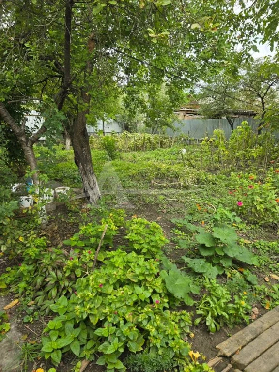 Продажа дома, Минеральные Воды, ул. Луговая - Фото 8